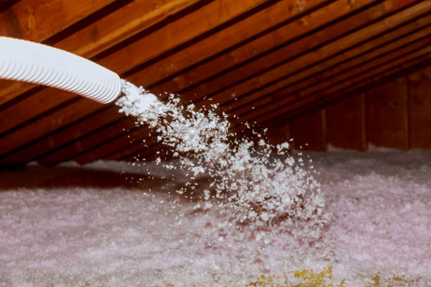 Best Eco-Friendly Insulation in Fox Crossing, WI