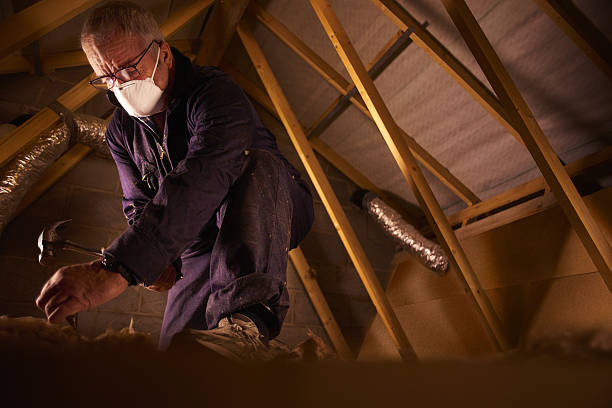 Best Eco-Friendly Insulation in Fox Crossing, WI